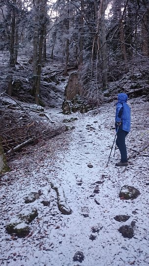 DSC_2053.JPG - Recht rasch sind wir oben. Aber den Rekord von Sonntag haben wir nicht im Visier.
