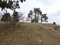 P1040889