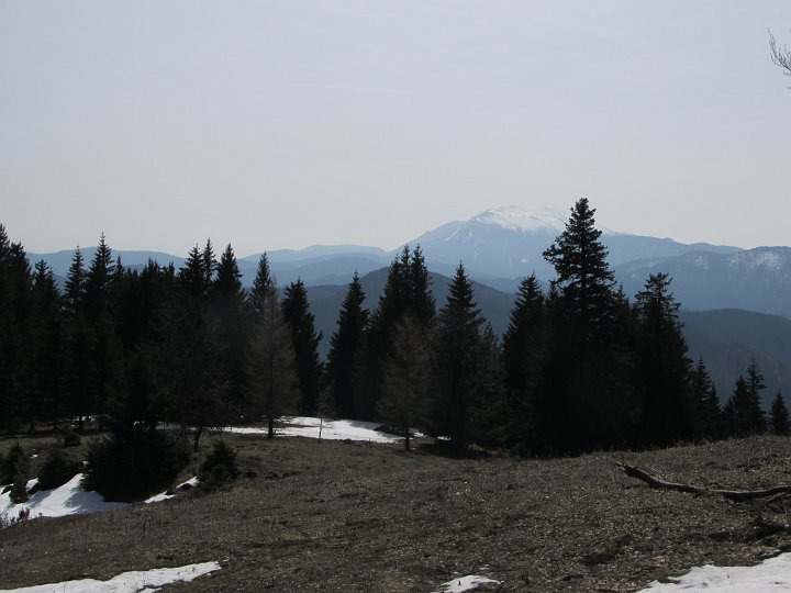 IMG_1216.JPG - Schneeberg im Hintergrund