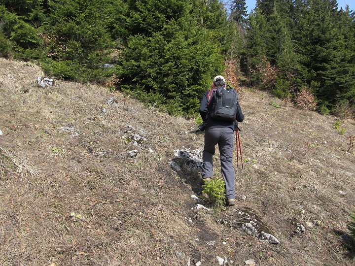 IMG_1219.JPG - Und weiter