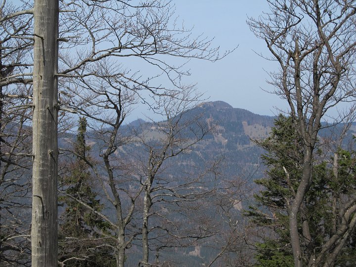 IMG_1251.JPG - Hochstaff