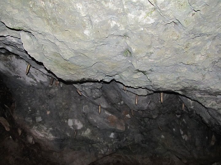 IMG_1295.JPG - Kurz vor der Bundesstraße ein Höhle mit "Goldzapfen"