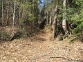 IMG_1178
