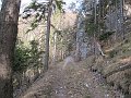 IMG_1181