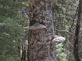 IMG_1188