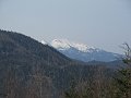 IMG_1189