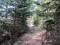 IMG_1191