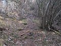 IMG_1192