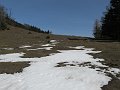 IMG_1204