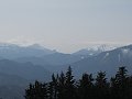 IMG_1207