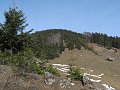 IMG_1209