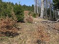 IMG_1221
