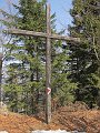 IMG_1225