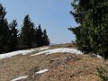 IMG_1226