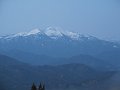 IMG_1234
