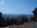 IMG_1235