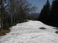 IMG_1254