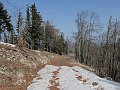 IMG_1256