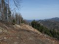 IMG_1258