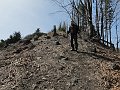IMG_1264