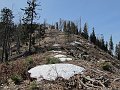 IMG_1269