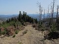 IMG_1271