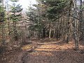 IMG_1272