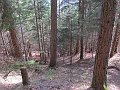 IMG_1281