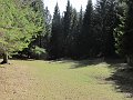 IMG_1282