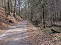IMG_1284