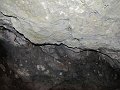 IMG_1295