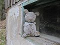 IMG_1296