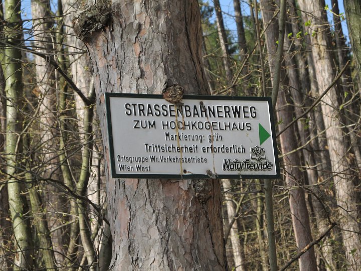 IMG_1303.JPG - ..dann über eine asphaltierte Straße (da könnte man auch stehenbleiben)..und rein in den Wald!