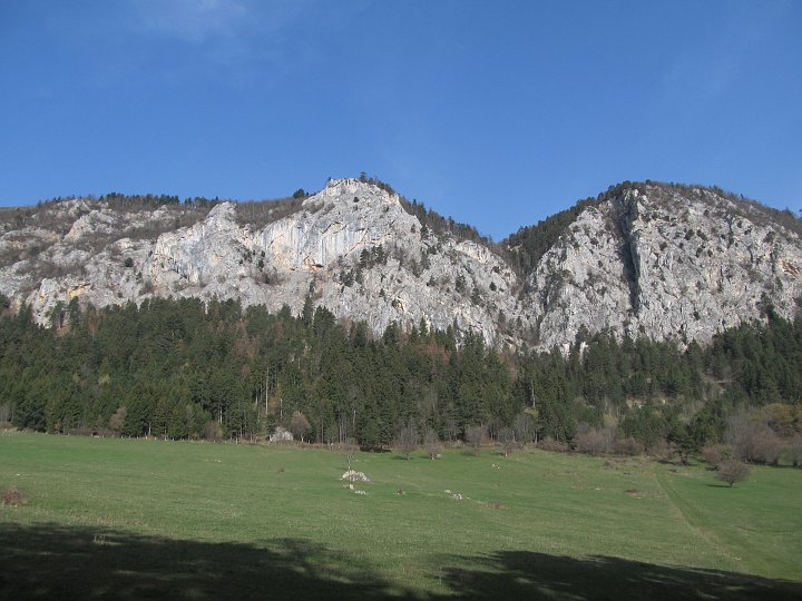 IMG_1304.JPG - Bald erreicht man aber eine große Wiese mit einem traumhaften Blick auf die Hohe Wand.