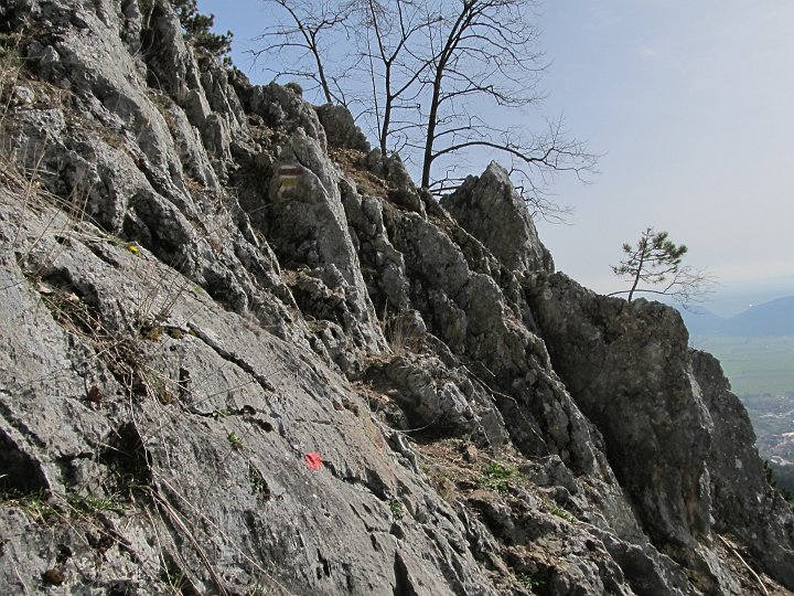 IMG_1330.JPG - Weiter hier hinauf. Naja klettern ist es nciht gerade. Man benütigt die Hände, ok, aber genau so ist es für mich ausreichend.