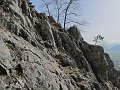 IMG_1330
