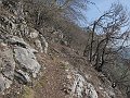 IMG_1357