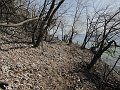 IMG_1358
