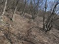 IMG_1361