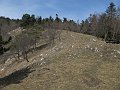 IMG_1365