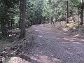 IMG_1367