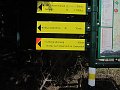 IMG_1371