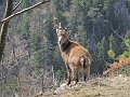 IMG_1373