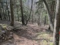 IMG_1377