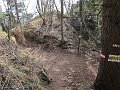 IMG_1380