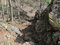 IMG_1381