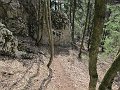 IMG_1383