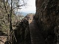 IMG_1385