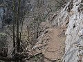 IMG_1386