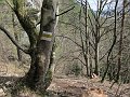 IMG_1388